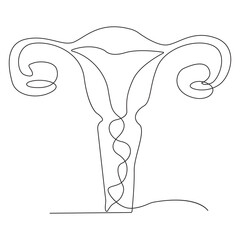 Continuous one line art  drawing of female reproductive uterus and women's day vector illustration.