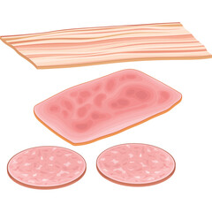 Close up of sliced ham and salami arranged on a transparent background with a slice of bacon above in a top down view showcasing deli meats
