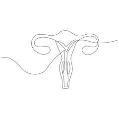 Continuous one line art  drawing of female reproductive uterus and women's day vector illustration.