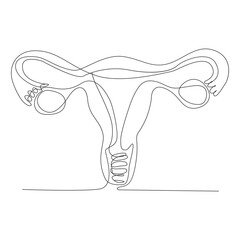 Continuous one line art  drawing of female reproductive uterus and women's day vector illustration.