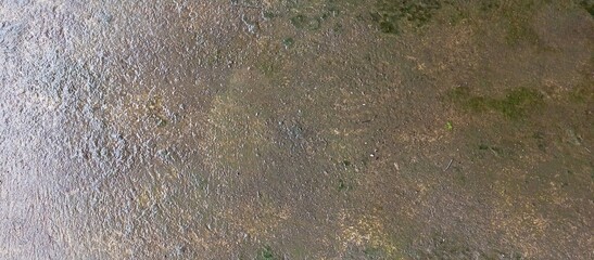 Wet Dark Concrete Floor with Green Moss Texture