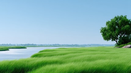 Serene Grassy Meadow With A Winding River Under A Clear Blue Sky And A Lush Green Tree On The Right Side