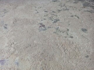 Rough Textured Cement Floor Surface Background with Dark Stains