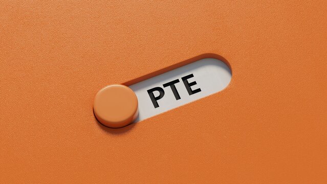 Three slide switch spelling with the letters PTE.close up of slide switch spelling,Business Concept.3D rendering.