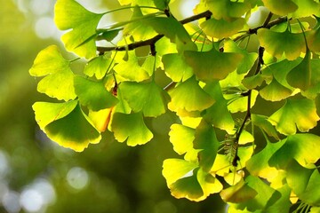 green leaves background