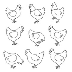 Nine cute, minimalist black outline cartoon hens in various poses on a white background.