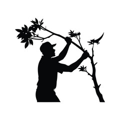 Silhouette of a man bending a tree branch with leaves, against white, person trimming tree branches silhouette vector illustration © MdShahriar