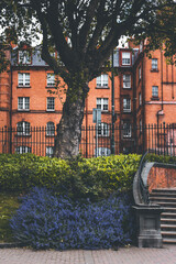 Fototapeta premium old houses detaild with staircase and a tree in dublin ireland