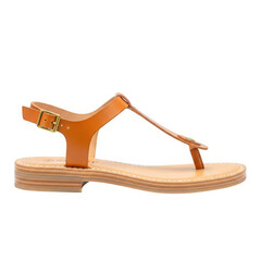 Elegant tan leather sandal isolated on transparent background