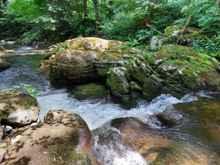 river Lobnica. Big boulders. Pohorje mountain. Green forest in Slovenia.