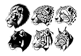 A striking collection of six distinct wild cat portraits, rendered in a bold black and white graphic style, showcasing their unique features.