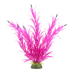Artificial aquarium plant with vibrant pink color isolated on transparent background