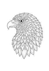 Detailed black and white line art illustration of an eagle's head, showcasing intricate feather patterns and a sharp, focused gaze.