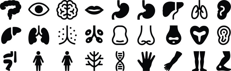 Collection of Human Anatomy and Body Part Icons in Black Silhouette human body organ