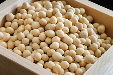 大豆