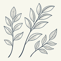 Elegant hand drawn botanical illustration of delicate branches with leaves on a light cream background
