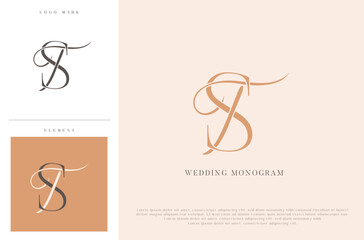 Elegant wedding monogram TS initials with calligraphic flourish