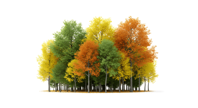 Vibrant autumn forest canopy with colorful leaves, perfect for seasonal designs and nature themes