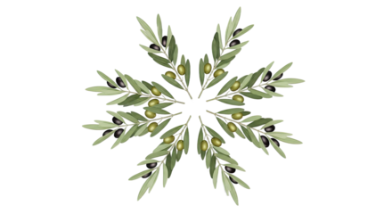 Olive Branch Mandala Pattern Isolated on White Background 1.