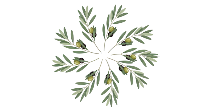 Olive Branch Mandala Pattern Isolated on White Background.
