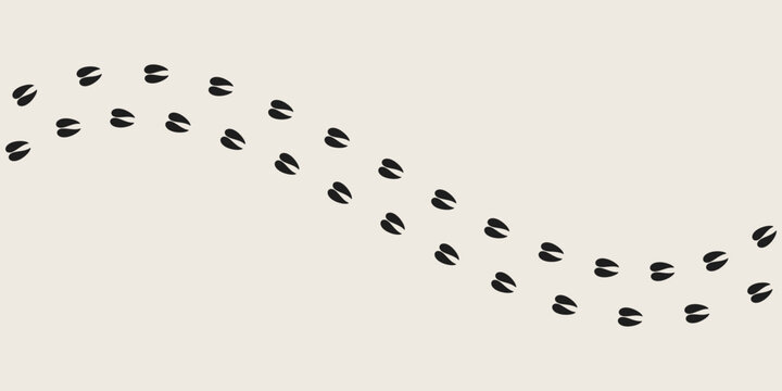 Deer footprints vector. Animal track. Antler footprints  
