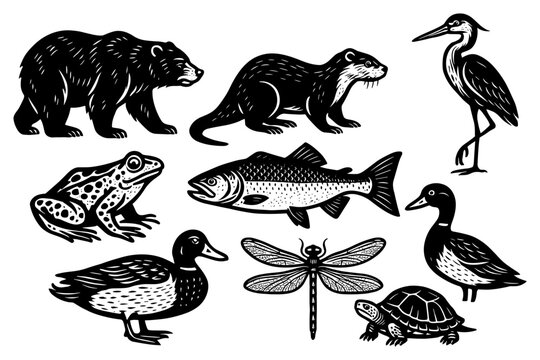 Black and white animal silhouettes: bear, otter, heron, frog, fish, duck, dragonfly, turtle