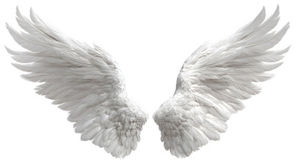 Fototapeta premium Majestic White Feathered Angel Wings isolated on white background