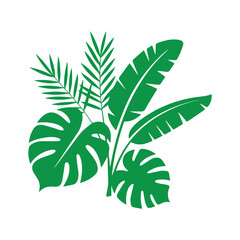 Tropical Leaves Vector Collection. Monstera, Palm, and Banana Leaf Silhouette Set.	