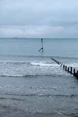 Fototapeta premium Solitary Cormorant Perched on Sea Marker Pole by Wooden Groynes on Cloudy Beach