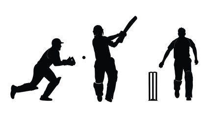 Cricket players silhouette illustration isolated on white background, Vector