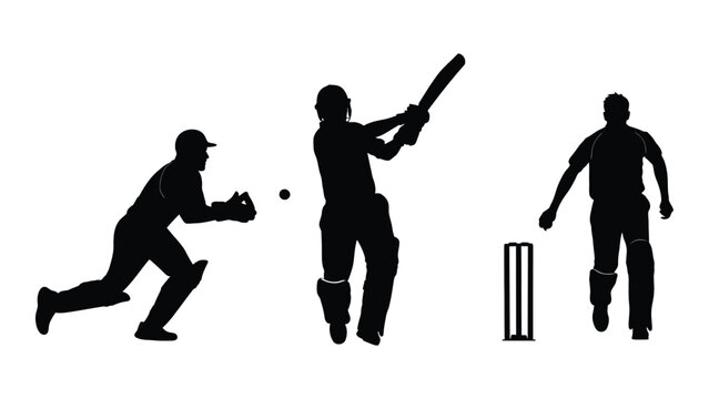 Cricket players silhouette illustration isolated on white background, Vector