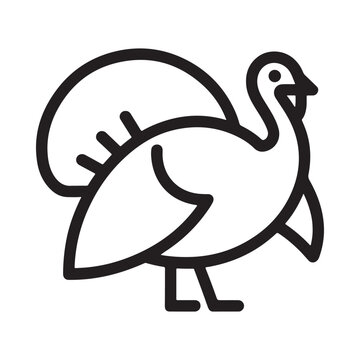 Simple outline illustration of a turkey bird with its tail feathers fanned out
