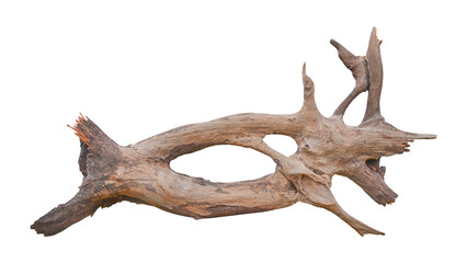 Isolated Dried Snag or Driftwood tree bark 