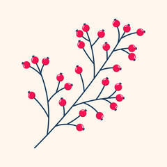 Red berries. Winter plant. Winter branches and leaves. Winter floral elements. Holiday decoration. Vector illustration