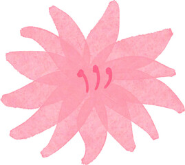 수채화 식물 그림