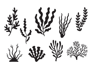 Silhouette collection of seaweed and coral black and white vector illustrations