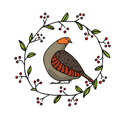 Vector card with hand drawn cute Grey Partridge  in graceful floral wreath. Beautiful animal design elements, ink drawing, logo template