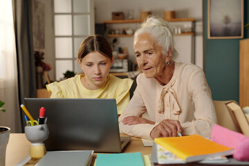 Caucasian senior woman sitting beside Caucasian teenage girl using laptop together at desk, both focused on computer screen, studying or working on project in home environment