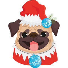 Adorable Pug Dog Wearing A Festive Red Santa Hat And Christmas Costume With Blue Bauble Ornaments During Holiday Season Celebration