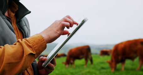 Man, hands and farm with tablet for agriculture, livestock or economic production in countryside. Closeup, male person or farmer with cows, animals or technology for agro business or development © ChasingMagic25/peopleimages.com