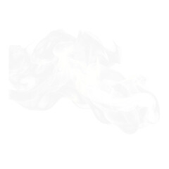 White Smoke Illustration