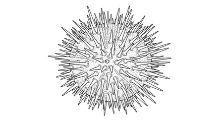 Detailed illustration of a spiky spherical object isolated on white background
