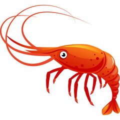 A Vibrant Red Shrimp With Intricate Appendages And Antennae Isolated On A White Background Illustrating Aquatic Life