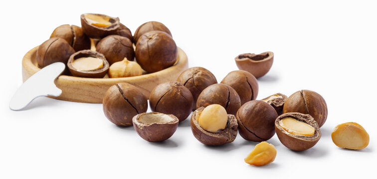 Macadamia nuts with cracked nut and shell isolated on white background