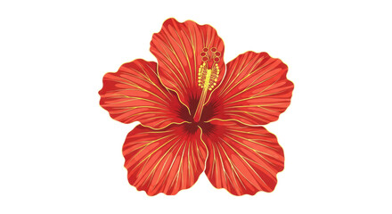 Vibrant red hibiscus flower with golden outlines on transparent background