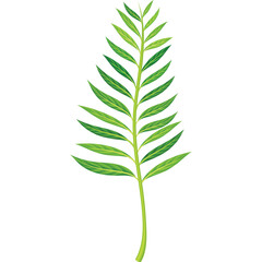 A Single Green Leafy Branch with a Transparent Background Ideal for Design and Nature Projects
