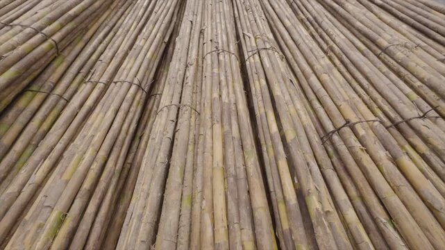 Many giant reed or "Arundo donax" dried sticks piled together as the camera moves towards them and tilts up.
