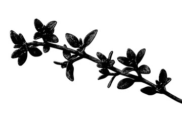 Elegant Twigs Thyme | Clean, isolated vector art for creative projects.