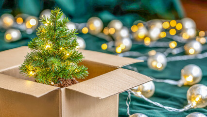 Miniature Christmas tree nestled in cardboard box surrounded by glowing holiday lights and festive decorations on a cozy green background