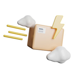 Express Delivery Shipping